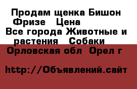 Продам щенка Бишон Фризе › Цена ­ 30 000 - Все города Животные и растения » Собаки   . Орловская обл.,Орел г.